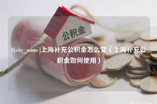 红河上海补充公积金怎么交（上海补充公积金如何使用）